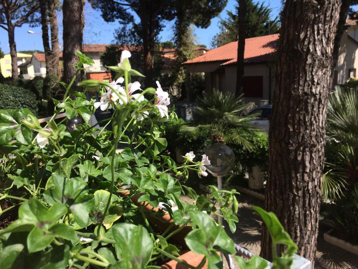 Alice Hotel Cervia Eksteriør bilde
